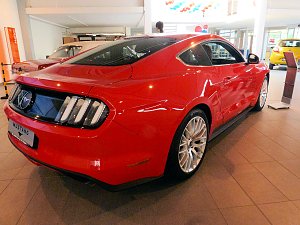 Der Mustang in Nordhausen