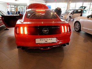 Der Mustang in Nordhausen