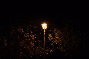 Lange Nacht der Wissenschaften in Nordhausen