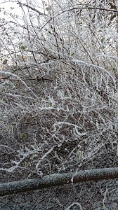 Seltenes Wetterph&auml;nomen