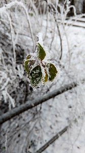 Seltenes Wetterph&auml;nomen