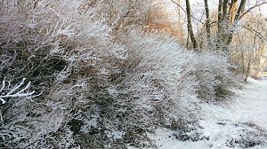Seltenes Wetterph&auml;nomen