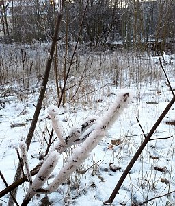 Seltenes Wetterph&auml;nomen
