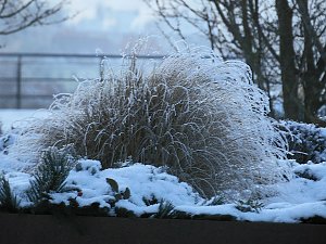 Seltenes Wetterph&auml;nomen