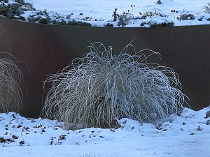 Seltenes Wetterph&auml;nomen
