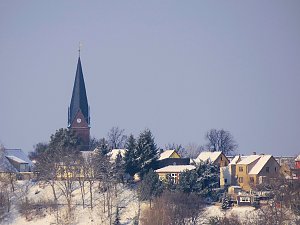 Tiere und Landschaft am Goitzschesee