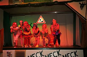 Karneval in W&uuml;lfingerode