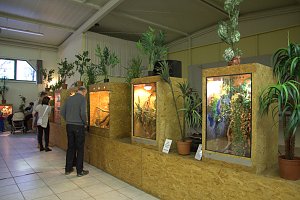 Exoten in einer Ausstellung