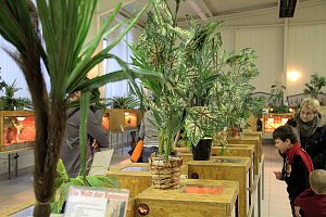 Exoten in einer Ausstellung