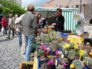Viel los in der City