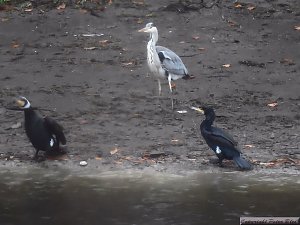 Peter Blei unterwegs: die Wendefurth Talsperre