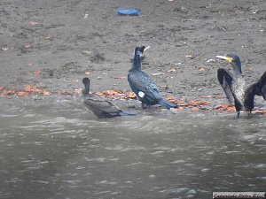 Peter Blei unterwegs: die Wendefurth Talsperre