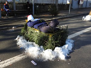 Winterm&auml;rchen in Elbingerode