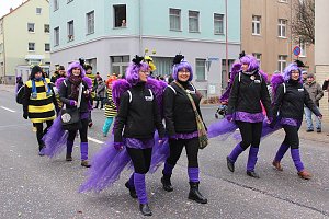 N&auml;rrinnen und Narren trotzen Wetter (2)