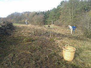 Arbeitseinsatz des Nordh&auml;user BUND