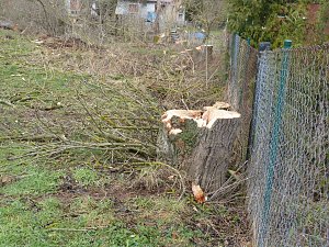 Tornado &uuml;berm S&uuml;dharz