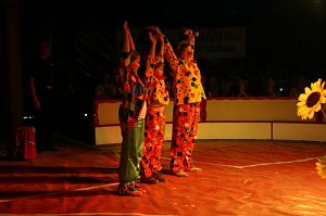 Zirkusluft in Ellrich