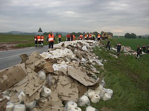 Umgekippt