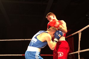 Boxnacht in der Nordh&auml;user Ballspielhalle