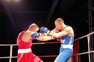 Boxnacht in der Nordh&auml;user Ballspielhalle
