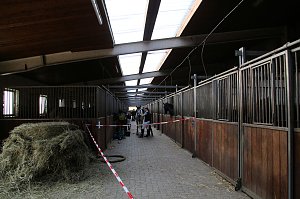 Hoffest in Wollersleben