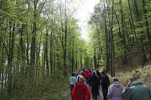 Sparkassenwanderung in Bleicherode