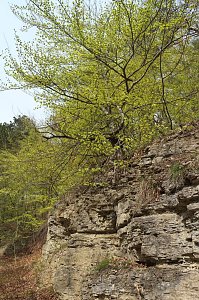 Sparkassenwanderung in Bleicherode