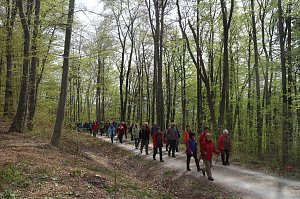 Sparkassenwanderung in Bleicherode