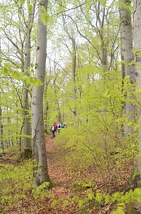 Sparkassenwanderung in Bleicherode