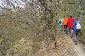 Sparkassenwanderung in Bleicherode