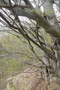 Sparkassenwanderung in Bleicherode