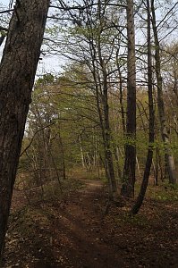 Sparkassenwanderung in Bleicherode