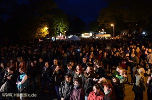 Maisprung im Gehege