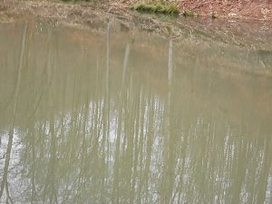 Die W&auml;chter des Harzes
