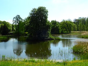 Schloss und Schlosspark Wiesenburg