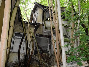 Ehemalige Sanatorien Erholung und Waldpark