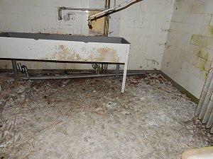 Ehemalige Sanatorien Erholung und Waldpark