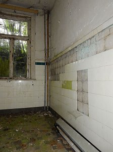 Ehemalige Sanatorien Erholung und Waldpark