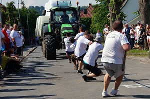 21. Arreefest