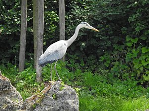 Abstecher in den Schlosspark