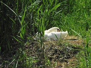 Abstecher in den Schlosspark