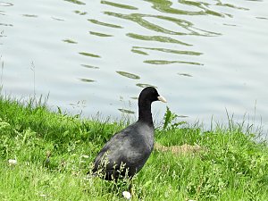 Abstecher in den Schlosspark