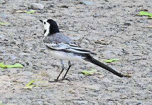 Abstecher in den Schlosspark
