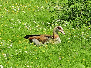 Abstecher in den Schlosspark