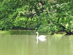 Abstecher in den Schlosspark