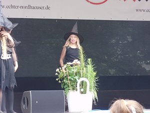 Rolandsfest 2016 - der Samstagmittag