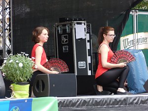 Rolandsfest 2016 - der Samstagmittag