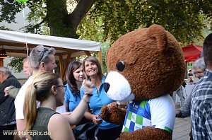 Rolandsfest 2016