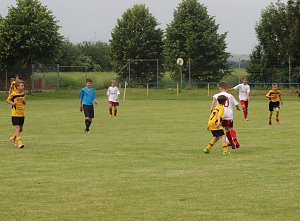 1. teamsportcup 2016 der D - Jugend