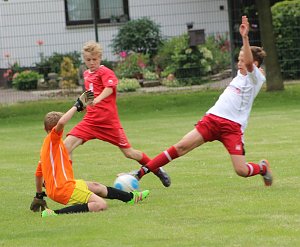 1. teamsportcup 2016 der D - Jugend